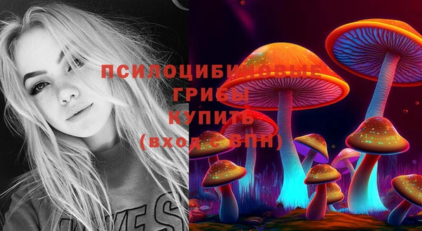 тгк Красноперекопск