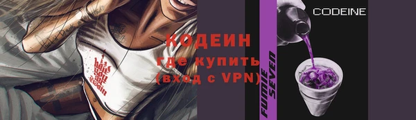 дурь Корсаков