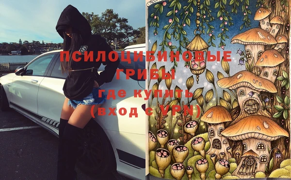 дурь Корсаков