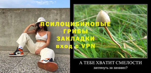 дурь Корсаков