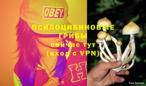 прущие крисы Коряжма