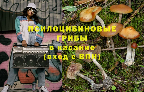 прущие крисы Коряжма