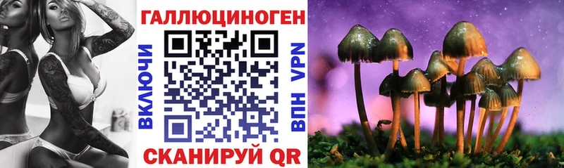 Галлюциногенные грибы Psilocybine cubensis  площадка наркотические препараты  Родники 
