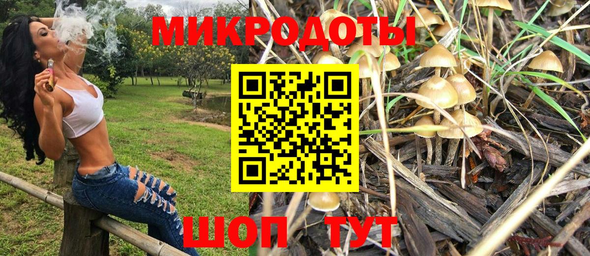 Галлюциногенные грибы мухоморы Родники